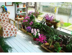 江门防腐木工程：选购防腐木地板要注意什么？