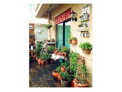 江门花卉绿化：花卉种子怎么种？